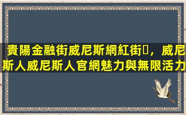 貴陽金融街威尼斯網紅街，威尼斯人威尼斯人官網魅力與無限活力